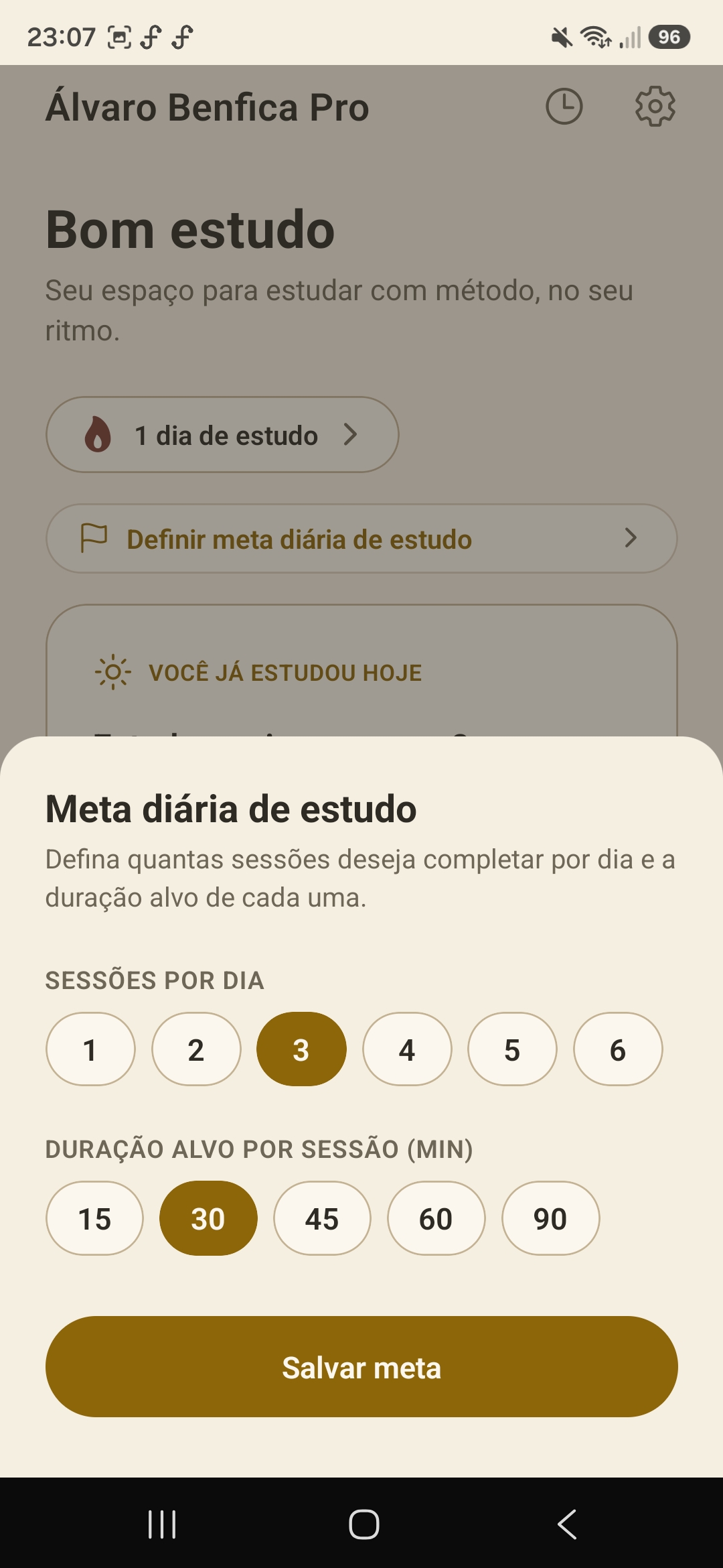 Meta Diária de Estudo